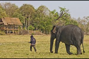 Laos; Continued