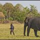 Laos; Continued