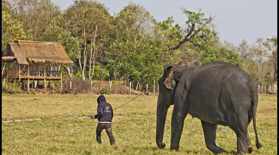 Laos; Continued