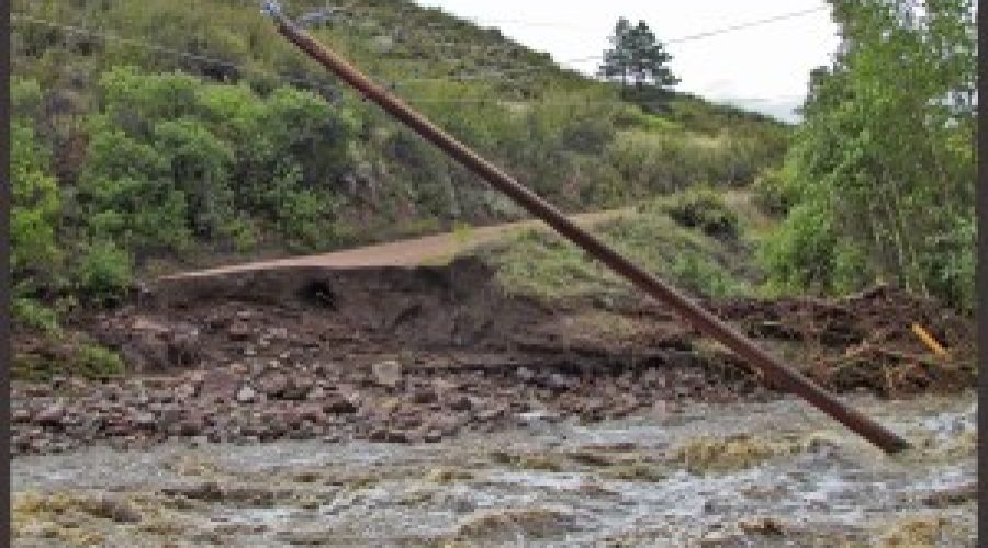 Disaster aftermath: Nature heals