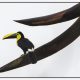 Ecuador II