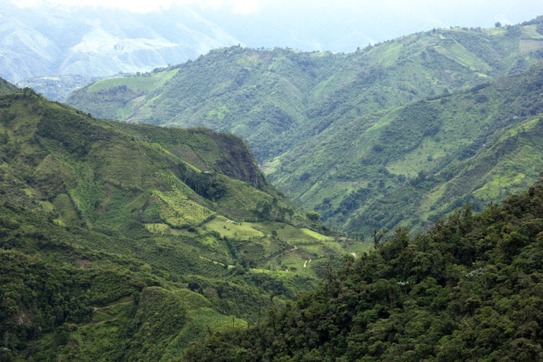 Ecuador II - Do It Yourself Nature Travel