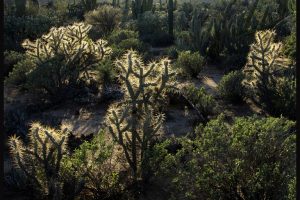 Chasing Summer in Baja California
