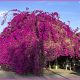 Baja California Sur, continued