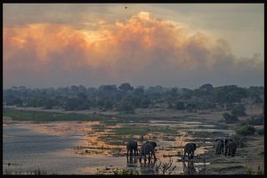 Botswana Safari, Chapter 2, Makgadikgadi Pans