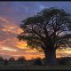 Botswana Safari: Chapter 3, Nxai Pan