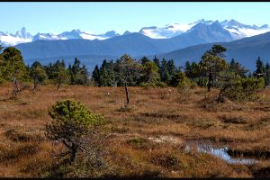 Down the Inside Passage: Petersburg