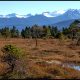 Down the Inside Passage: Petersburg
