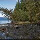Down the Inside Passage: Ketchikan