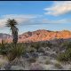 Southern Border Tour:  March 2021, Part 1