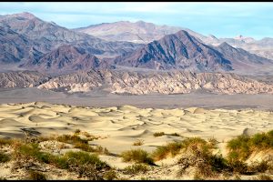 Southern Border: March madness, Part 2
