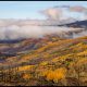 Autumn Leaves of Colorado