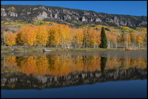 Autumn Leaves: Continued