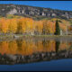 Autumn Leaves: Continued