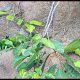 Ecuador’s Amazonia, Part 2