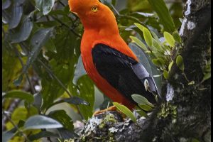 Ecuador: Part 3