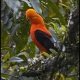 Ecuador: Part 3