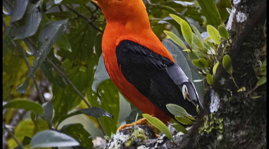 Ecuador: Part 3