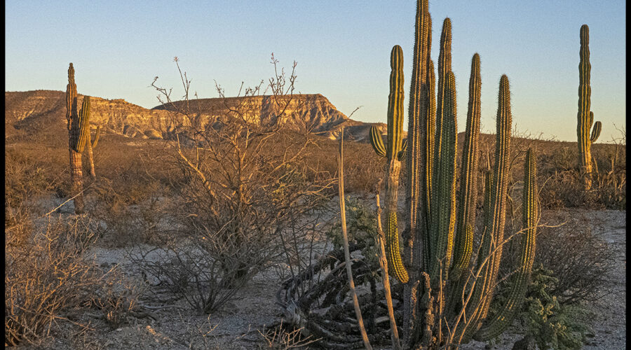 Baja California: Otra Vez #2