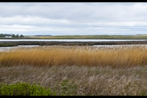 Nebraska Sand Hills: Crescent Lake