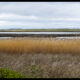 Nebraska Sand Hills: Crescent Lake