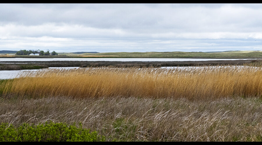 Nebraska Sand Hills: Crescent Lake