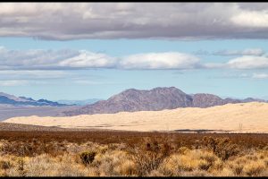 Late winter in the Southwest USA