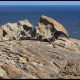 Australia’s Kangaroo Island