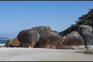 Notes from Down Under, Chapter 5