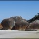 Notes from Down Under, Chapter 5